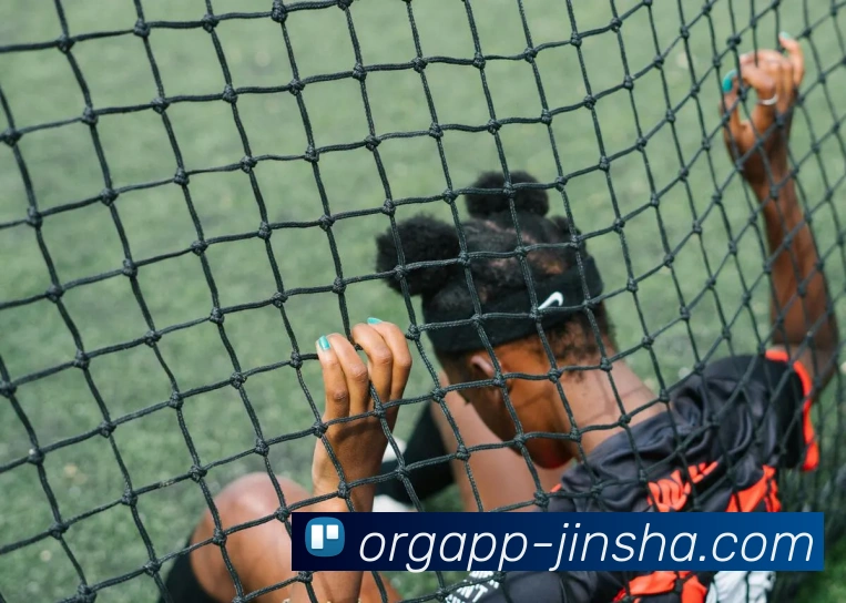 金沙国际平台生态图